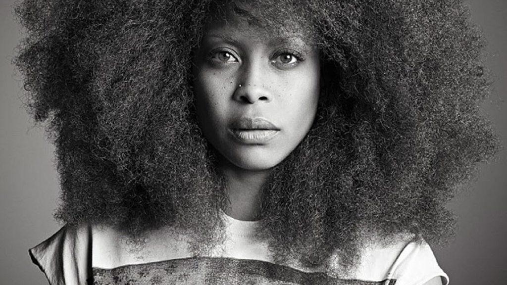 Erykah Badu Ethnicity, Religion and Nationality